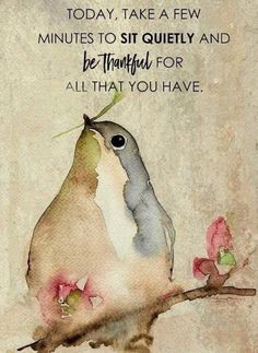 a bird sitting on top of a tree branch next to a quote that reads today take a few minutes to sit quietly and be grateful for all that you have