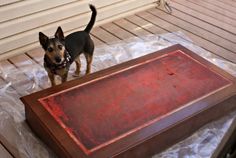 a small dog standing next to a wooden table