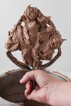 a hand holding a spoon with chocolate frosting on it in front of a white background