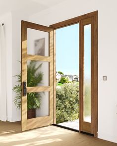 an open wooden door with glass panels and potted plant in the corner next to it