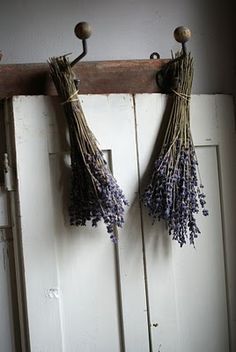 two dried lavenders hang from hooks on an old door