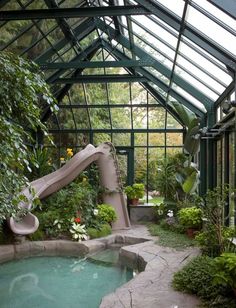 an indoor swimming pool with a slide in the middle and plants growing on both sides