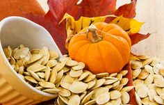 pumpkins and gourds with leaves in the background