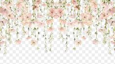 pink flowers hanging from the ceiling with long stems and leaves, transparent background png