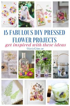 the cover of 15 fabulous diy pressed flower projects