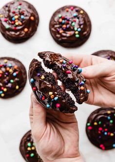 a person holding a chocolate doughnut with sprinkles