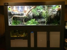 a fish tank with plants and rocks in the background, on display at a museum