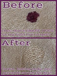 the before and after pictures of carpet cleaning