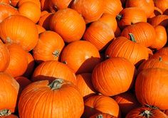 a pile of orange pumpkins sitting next to each other