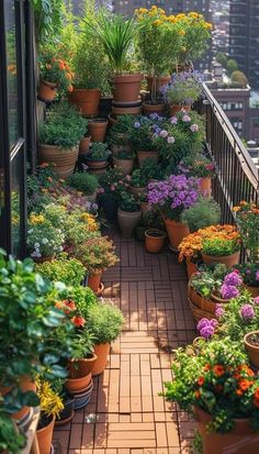 many potted plants on the side of a building with city buildings in the background