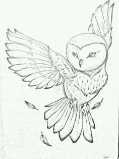 a drawing of an owl with wings spread