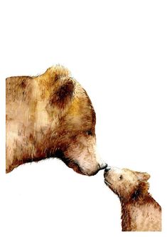 two brown bears are touching each other's noses on a white background and one bear has its nose to the other