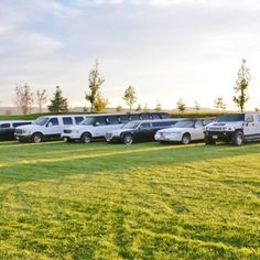 a row of vans parked in a grassy field