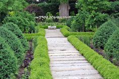 a stone path in the middle of a garden