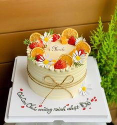 Kiwi Cake Design, Fruit Cake For Birthday, Mixed Fruit Cake Design, Korean Cake Design, Kiwi Fruit Cake, Fruit Topped Cake, Cake Decorated With Fruit, Chocolate Fruit Cake, Kiwi Cake