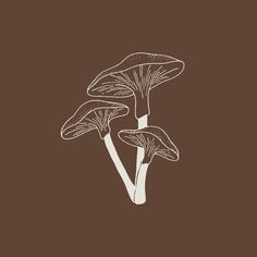 three mushrooms on a brown background