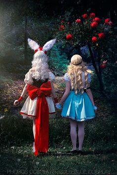 The Rabbit, White Rabbit, Alice In Wonderland, Halloween, White