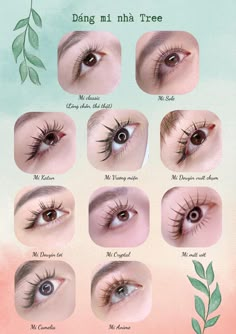 Doll Eyelash Extensions Volume, Mi Classic, Lash Room Ideas, Lash Map, Bentuk Alis, Lashes Fake Eyelashes, Lash Mapping, Eyelash Extensions Styles