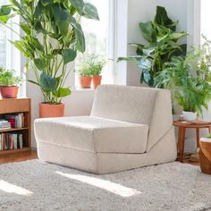 a living room filled with lots of green plants