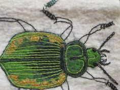 a close up of a green bug on a white cloth