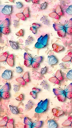 colorful butterflies flying in the sky with pink and blue colors