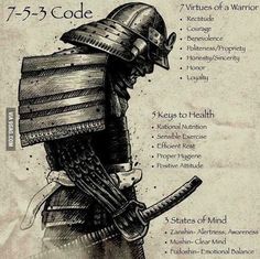 a drawing of a soldier with the words, 733 code on it's back