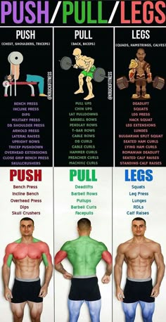 the different types of muscles are shown in this chart, which shows how they work