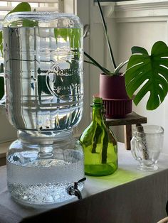 a water pitcher sitting on top of a table