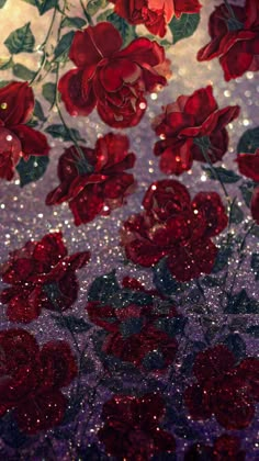 red roses and glitters are on the wall in this photo, as if it were taken from above