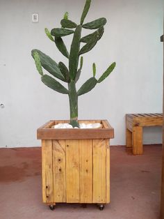 a cactus in a wooden container on wheels