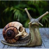 a snail with a human skull on it's back sitting on a wooden table