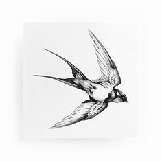 a black and white drawing of a bird flying