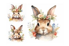 three watercolor drawings of rabbits with flowers in their ears and one bunny wearing a flower crown