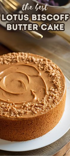 the best lotus biscoff butter cake on a white plate with text overlay