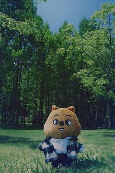 a teddy bear sitting in the middle of a field with trees and grass behind it