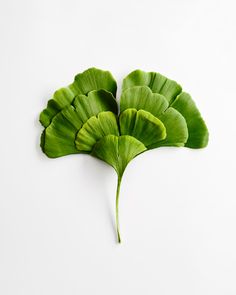 three green leaves on top of each other in the shape of a leaf, against a white background