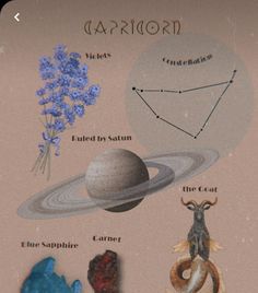 the planets and their names are shown in this graphic above them is an illustration of what they are looking like