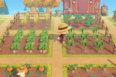 an animal crossing game is shown in the middle of a field with carrots and other plants