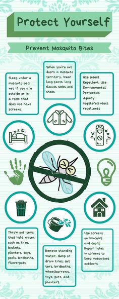 an info sheet describing how to protect yourself from mosquito bites and other pests in the house