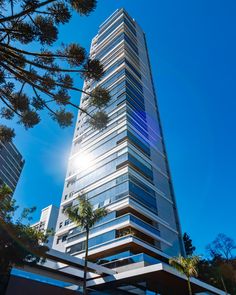 a very tall building with lots of windows on it's side and palm trees in the foreground