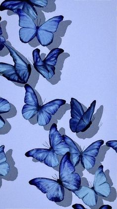 a group of blue butterflies flying in the air