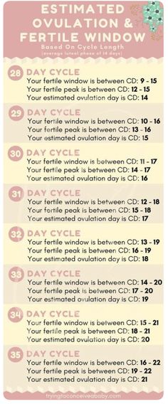 an info sheet with instructions on how to use the window