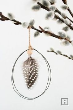 an ornament hanging from a twig with feathers in the hoop and branches