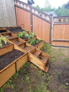 several wooden raised garden beds with plants growing in them