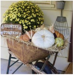 a wheelbarrow with pumpkins and gourds on the front porch for display