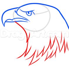 an eagle's head with red and blue lines