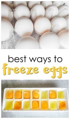 an egg tray filled with eggs and the words best ways to freeze eggs