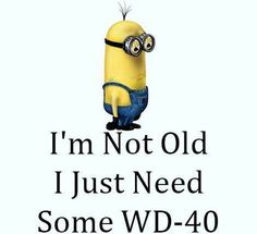 a despicable minion with the words i'm not old, i just need some wd - 40