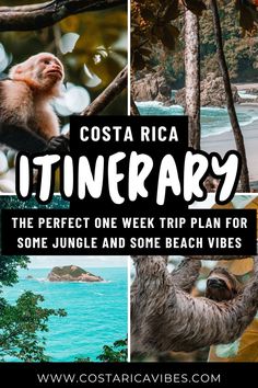 costa rica itinerary the perfect one week trip plan for some jungle and some beach vibes