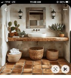 an image of a bathroom setting with cactus and succulents on the counter